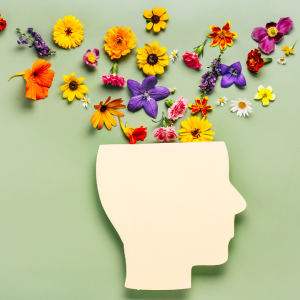 Psychological First Aid - Bundle